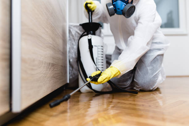 Pest Control for Restaurants in Frederickson, WA