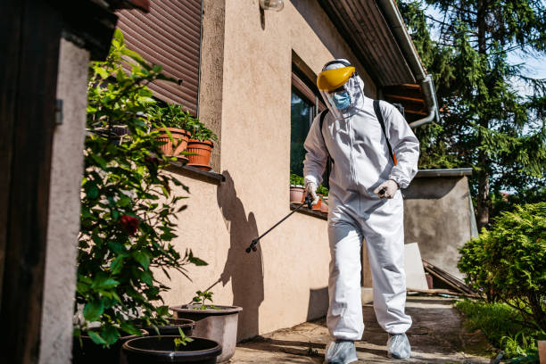 Best Wasp Removal Services  in Frederickson, WA
