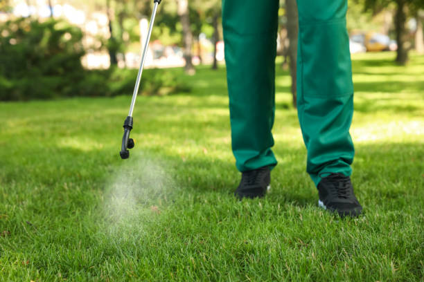 Best Exterminator Services  in Frederickson, WA