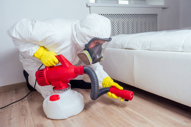 Best Affordable Pest Control Services  in Frederickson, WA