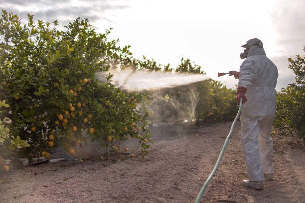 Best Pest Control for Restaurants  in Frederickson, WA