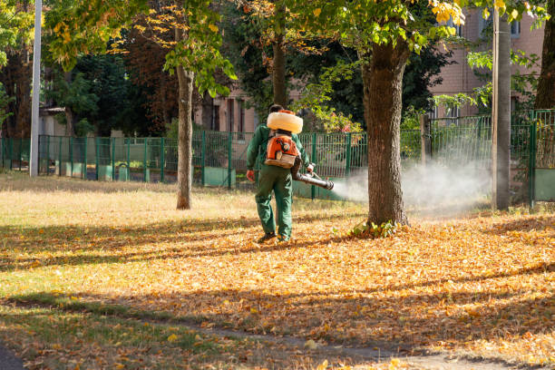 Best Pest Inspection Near Me  in Frederickson, WA