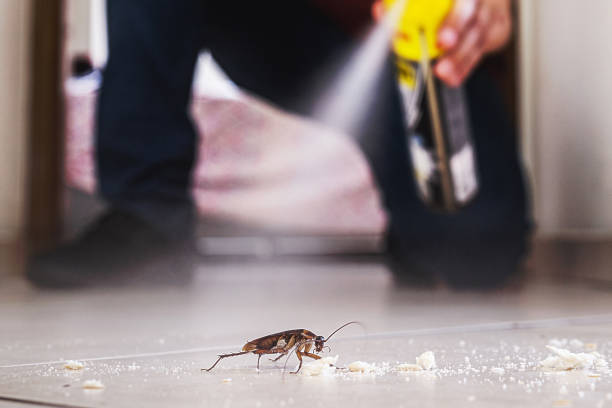 Pest Control for Restaurants in Frederickson, WA