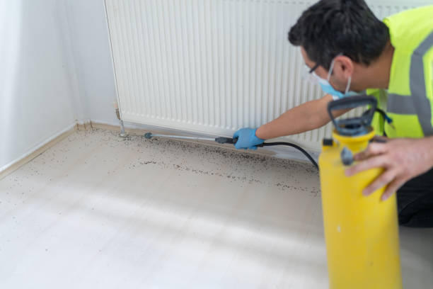 Best Ant Control Services  in Frederickson, WA