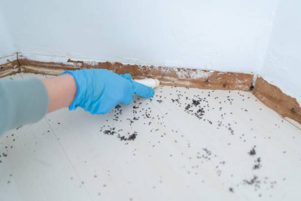 Best Pest Prevention Services  in Frederickson, WA