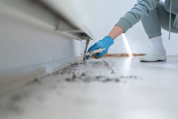 Reliable Frederickson, WA Pest Control Solutions