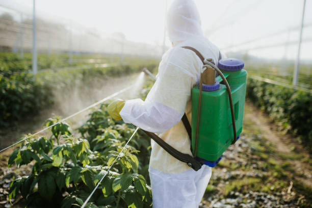 Best Commercial Pest Control Services  in Frederickson, WA